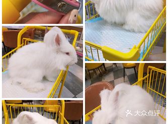 探店安哥拉体验馆-天津馆 店名：NICE to