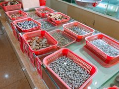 -南庄酒家·海鲜粤菜·25年老字号(环城南路店)