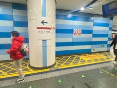 -大望路(地铁站)