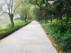 -日照海滨国家森林公园