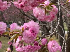 -石家庄市植物园