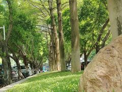 -天河体育中心