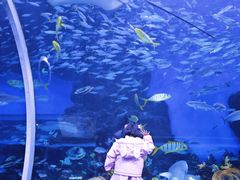 -成都浩海立方海洋公园