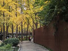 -唐城墙遗址公园