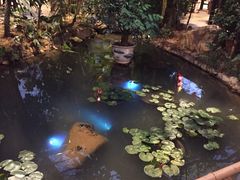 -竹山里(锁石路店)