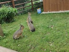 -苏州太湖西山岛开心农场