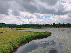 -塞罕坝国家级自然保护区