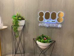 -八佰伴8008星级形象店