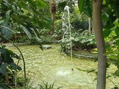 -南宫五洲植物乐园