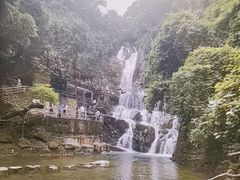-鼎湖山风景区