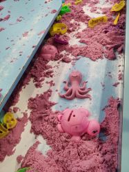 -酷嗒动物文化乐园(cutezoo西溪乐天城店)