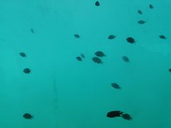 -亚龙湾海底世界