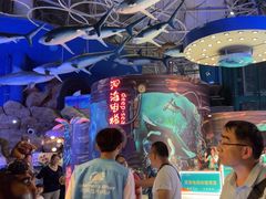 -烟台海昌鲸鲨海洋公园