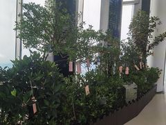 -平安金融中心云际观光层