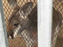 动物园-东湖公园