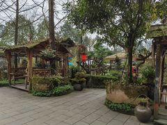 -青城甲(青城山店)