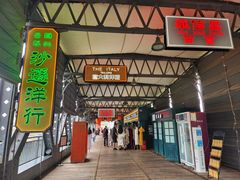 -武汉知音号