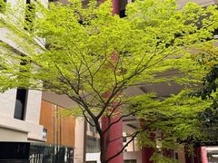 -汇丰银行(上海商城支行)