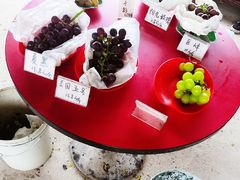 -马陆小张葡萄园农家乐