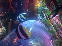 -沈阳海洋探索中心