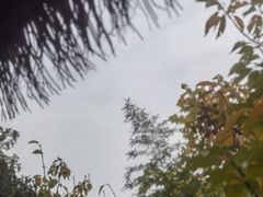 -思念果岭悦温泉