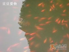-紫竹院公园冰场