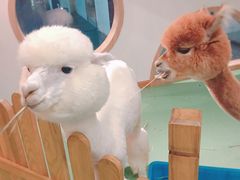 -藦茜花园宠物主题亲子互动体验馆(国顺东路店)
