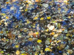 -洛阳白云山景区