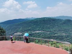 -铁山坪森林公园