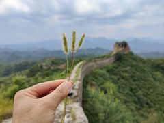 -蟠龙山长城景区