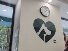-瑞派康怡24h宠物医院·犬猫医疗中心·微创绝育(瑞景分院)