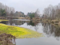 -桤木河湿地公园