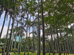 -荔枝公园(福田区)