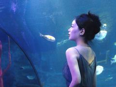 -沈阳海洋探索中心