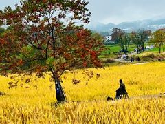 -塔川景区