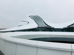-哈尔滨大剧院