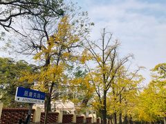 -八大关景区