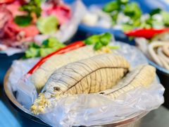 -金砂阿洲鱼册店