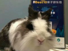 -藦茜花园宠物主题亲子互动体验馆(国顺东路店)