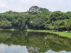 -东莞植物园