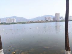 -飞来湖湿地公园