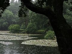 -摇橹船上船码头