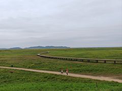 -鄱阳湖国家湿地公园
