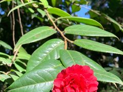 -昆明市金殿名胜区