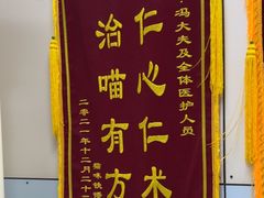 -中农国际动物医院24小时·猫科·骨科·急重症中心