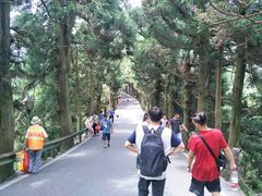 -南岳衡山风景名胜区