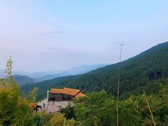 -铁山坪森林公园