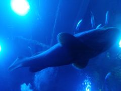 -成都浩海立方海洋公园