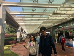 -香港大学