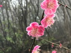 -大明山自然探索公园
